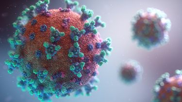 Tensión en EE.UU. por regreso a las aulas y aumento de contagios COVID-19 en niños