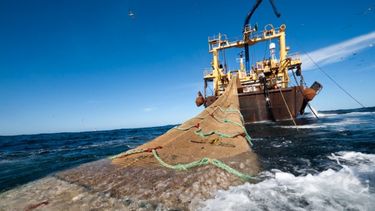 Sobregiro ecológico: Chile agotó hoy sus recursos naturales renovables disponibles para 2020