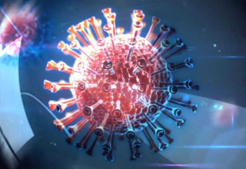 Hepatitis ota.jpg