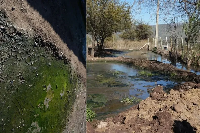 18890 diseno sin titulo.webp