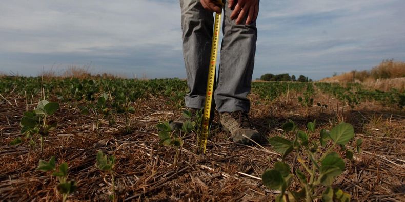 Farmer soy argentina_MartinAcosta_Alamy_2CM6P0P 1440x720 1.jpg