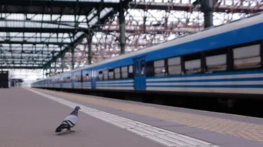 Toda Argentina paraliza contra Milei: Poderosa organización con 50 sindicatos realiza huelga por recomposición salarial