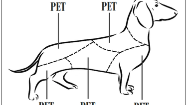 El Desconcierto | perro.png