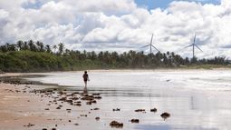 El mercado de las energías renovables en América Latina se recupera tras la pandemia