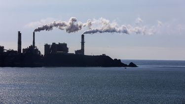 “No se ha concretado el gobierno ecológico”: Decepción del ambientalismo ante cuenta pública