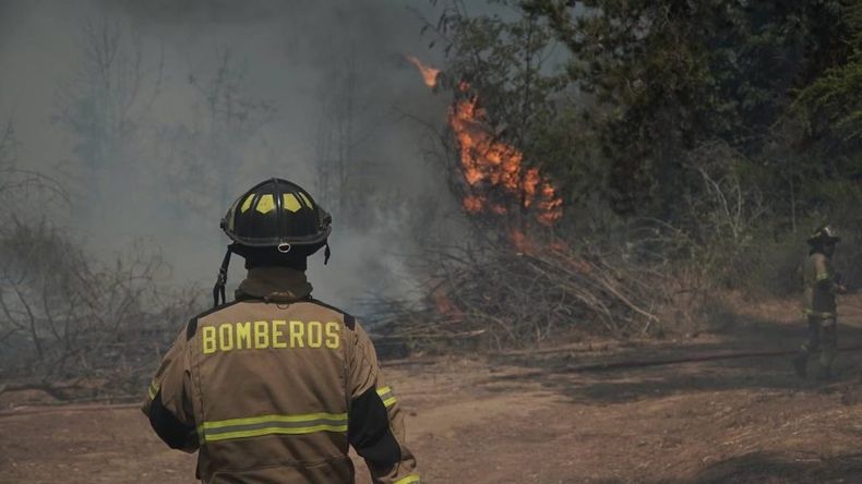 bombero incendio forestal.jpg
