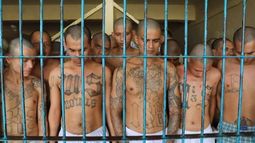 Gobierno de El Salvador asegura que existe presencia de peligrosa Mara en Chile