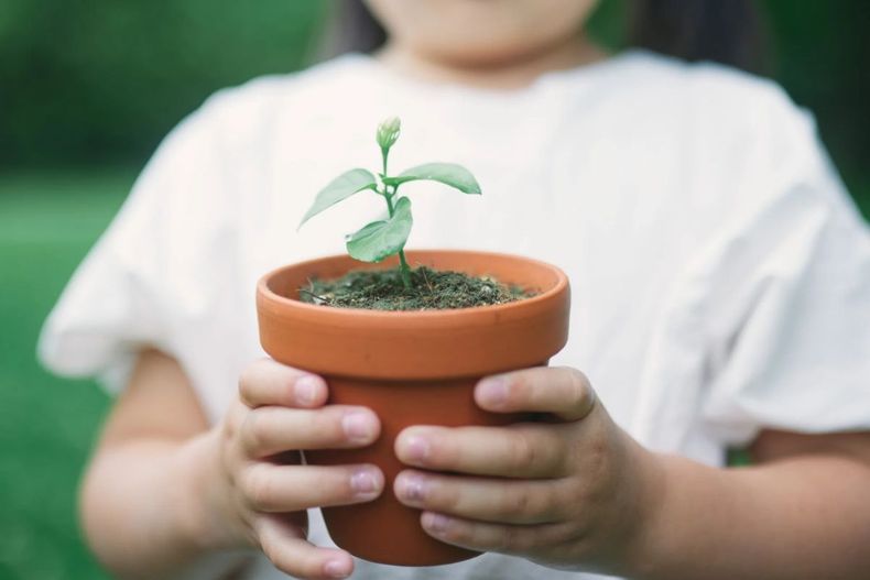 La sostenibilidad y la creatividad son los pilares del concurso.