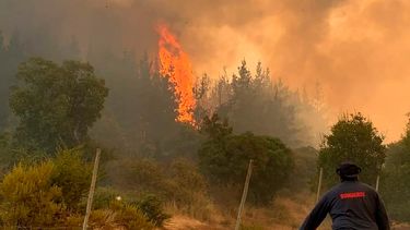Amenaza de incendios forestales: Senapred decreta Alerta Temprana Preventiva en la RM