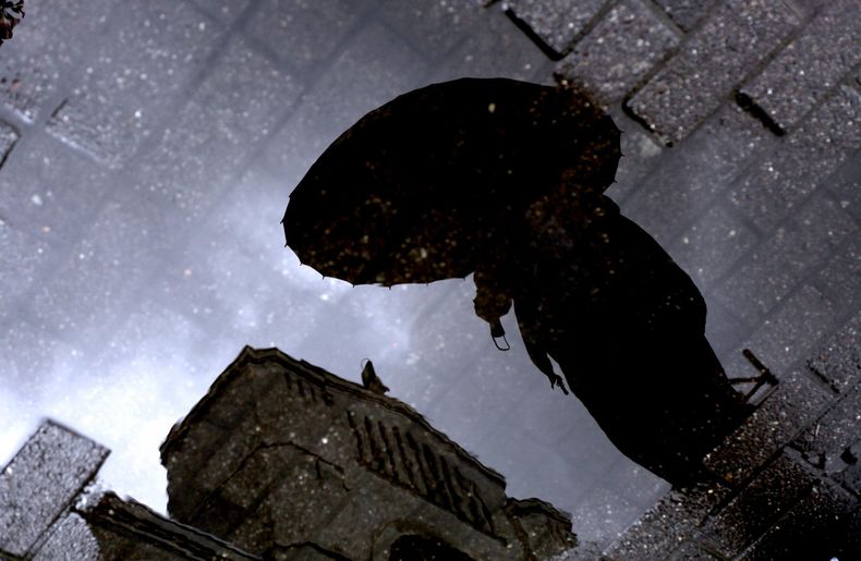 Primavera lluviosa scaled.jpg