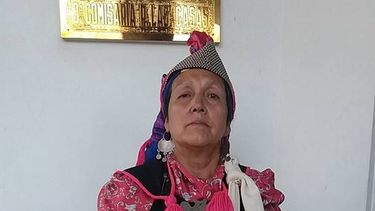 Detuvieron a Lonko Juana Calfunao y su hijo recibió disparo en la pierna