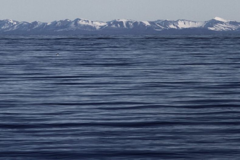 Oceano Pacifico scaled e1705442108325.jpg