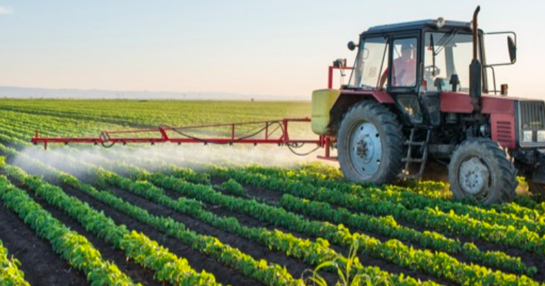 Campos de cultivo MapBiomas 768x403 1.png