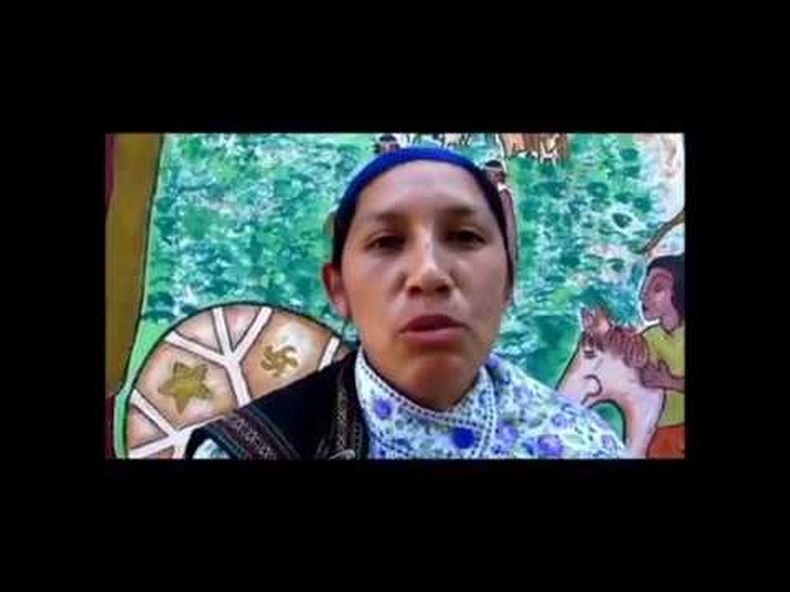 Luisa Marilaf Millaleo.jpg