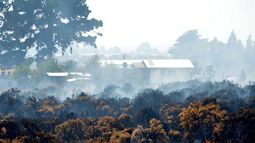 Alerta amarilla en Los Lagos: Incendios forestales han consumido más de 50 hectáreas