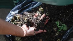 Compstaje como reciclaje para disminuir la basura - Agencia Uno Compstaje como reciclaje para disminuir la basura - Agencia Uno