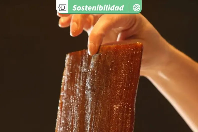 30849 diseno sin titulo 2026 03 05t163524.webp