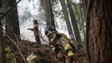Bomberos latinoamericanos se capacitan para enfrentar riesgos por la crisis climática