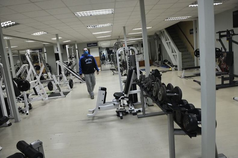 gim.jpg