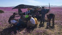 Intendenta de Atacama acusa atentado al patrimonio por aterrizaje de avionetas en desierto florido