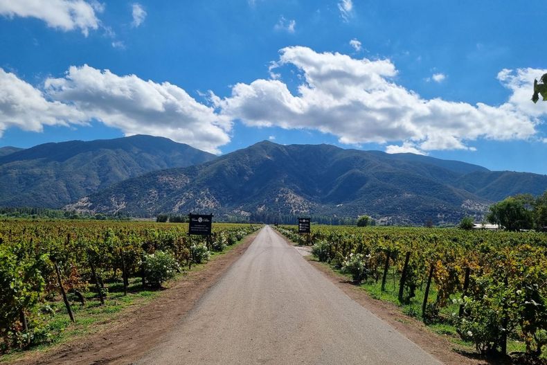 Diseño sin título - 2026-03-27T122457.068