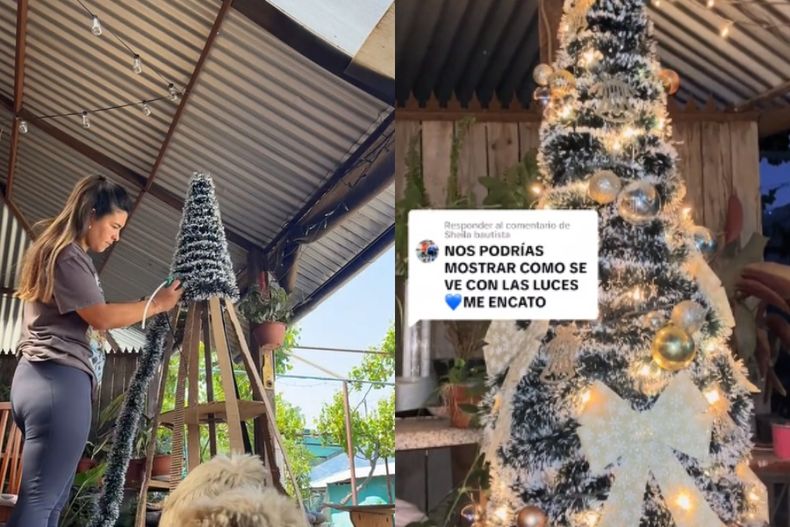 Chilena sorprende en TikTok con arbol navideno hecho de carton.jpg