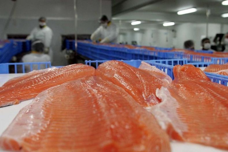 Captura20de20pantalla202016 06 1720a20las2015 11 1200x800 1.jpg