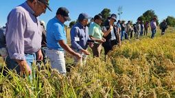 Avanza el proyecto regional para la agricultura sostenible, que ya logró notables reducciones de metano y se enfoca en la transferencia de conocimiento a productores.