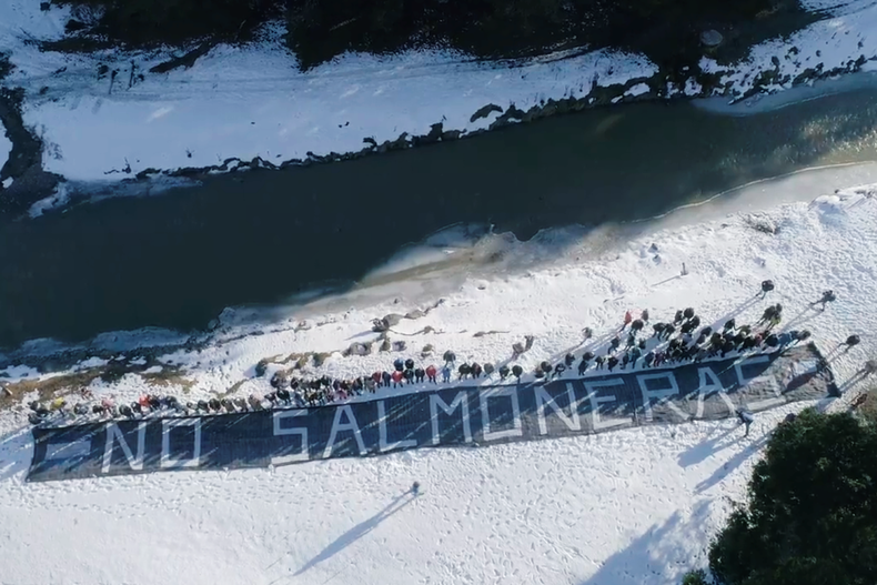 CP Ley Salmoneras Tierra del Fuego_.png