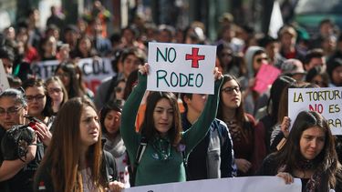 #NoEsDeporte: Este sábado se realizará marcha contra el rodeo en todo Chile