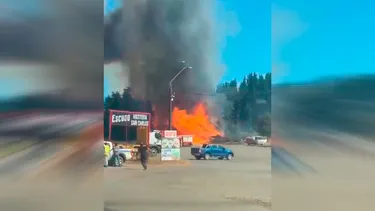 Ruta 5 Sur es cortada a la altura de Ercilla por incendio forestal que cruzó de lado a lado