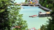 biodiversidad marina en la patagonia es amenazada por contaminantes como esteroides de anticonceptivos y pesticidas