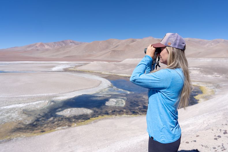 Un estudio de Conaf y Fundación Symbiotica registró cerca de 800 ejemplares sobrevivientes.