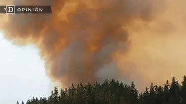 El Desconcierto | 27639 imagen de un incendio forestal.webp
