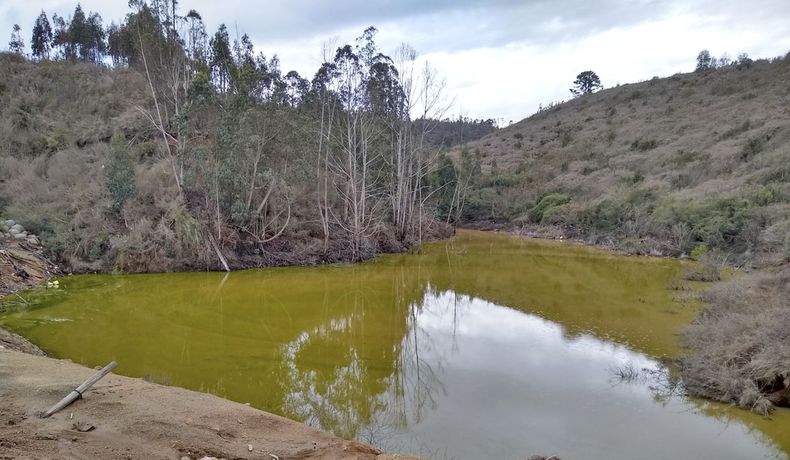 Fotografia 3 3.jpg