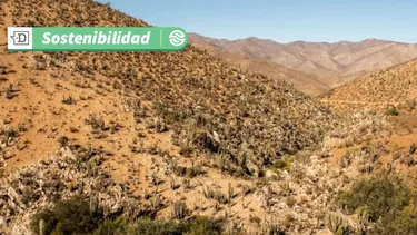 Protección de la naturaleza y el medio ambiente: ¿Conoces el Derecho Real de Conservación (DRC)?