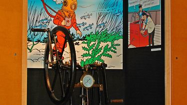 El Desconcierto | Tintin_Belgique_ _Louvain la Neuve_ _Centre_sportif_de_Blocry_ _52.jpeg