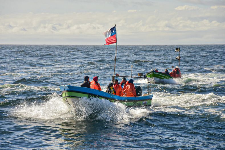Imagen referencial sobre pesca artesanal - Agencia Uno