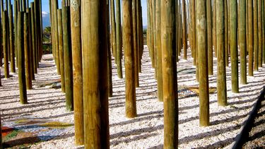 El Desconcierto | Memorial de Paine 1.jpg