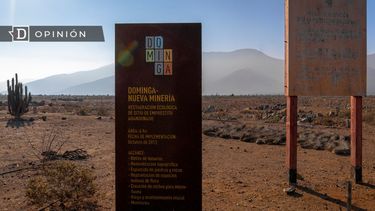 El Desconcierto | 8832 imagen de un aviso de dominga.jpg
