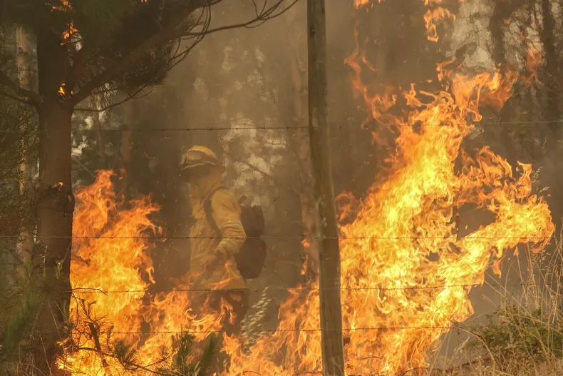13245 santa juana incendio.webp