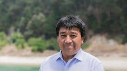 Adolfo Millabur y rechazo de informe indígena: Las principales demandas están incluidas