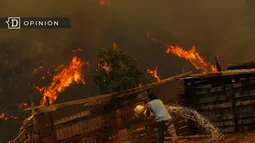 A un año del megaincendio en la región de Valparaíso: Una reconstrucción aún pendiente