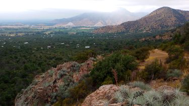 El Desconcierto | Aguila Sur Sector Piedra Blanca comuna de Paine