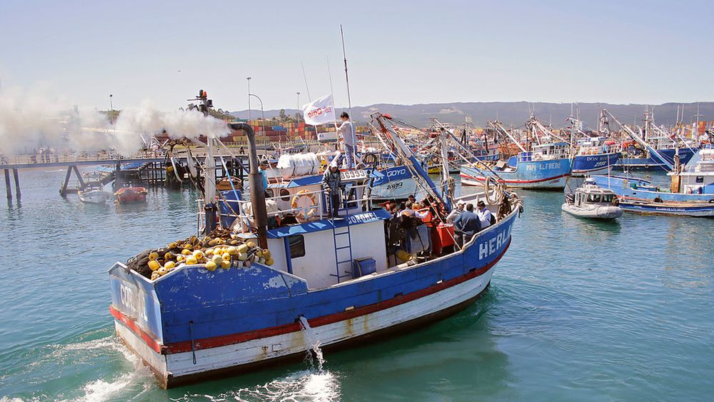Pescadores aseguran que amenazan con cierre de plantas si Congreso aumenta cuota artesanal