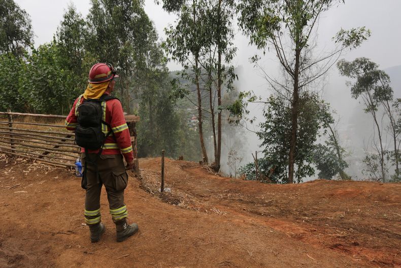 Imagen referencial brigadista combate incendios.jpg