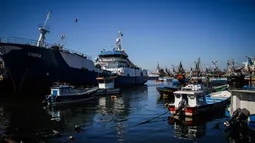 “La solución no es volver al monopolio: pesca artesanal plantea expansión a milla 201 tras crítica de industria a Ley de la Jibia