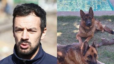 El dolor de Tomás Vodanovic por muerte de sus perros envenenados: No hacían mal a nadie