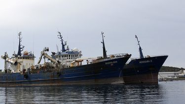 Protestas y lobby en el extranjero por jurel: La estrategia de industria pesquera para hacer caer fraccionamiento