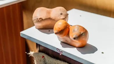 Iniciativa “PalpArte” estuvo presente en Ruidosa Fest: La prevención del cáncer de mama se entrelaza con el arte